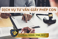 TƯ VẤN GIẤY PHÉP CON