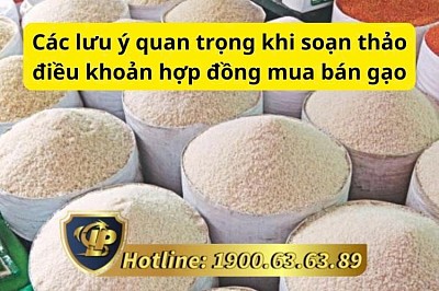 Các lưu ý quan trọng khi soạn thảo điều khoản hợp đồng mua bán gạo