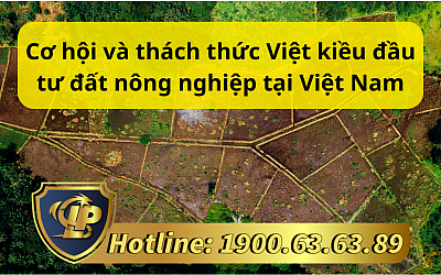 Cơ hội và thách thức Việt kiều đầu tư đất nông nghiệp tại Việt Nam