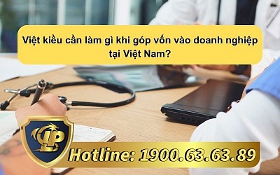 Việt kiều cần làm gì khi góp vốn vào doanh nghiệp tại Việt Nam?
